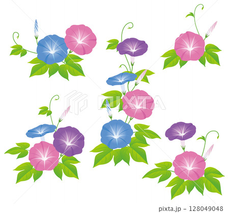 夏の花朝顔03 128049048