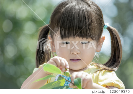 公園でどんぐりを見つめる女の子 公園でどんぐりを見つめる女の子 128049570