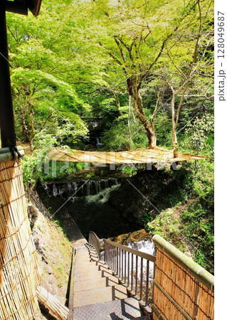 京都を涼む夏の風物詩… 京都・貴船【川床】 128049687