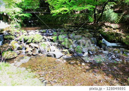 京都・貴船を流れる清流…【貴船川】 128049891