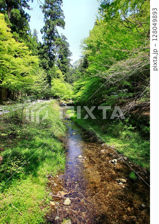 京都・貴船を流れる清流…【貴船川】 京都・貴船を流れる清流…【貴船川】 128049893