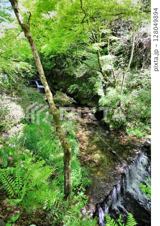 京都・貴船を流れる清流…【貴船川】 128049894