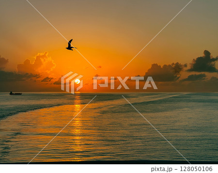 カリブ海の夕焼け カリブ海の夕焼け 128050106