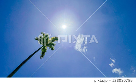 クルーズ船でいくドミニカ 128050789