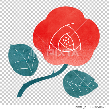 バラの花 128050872