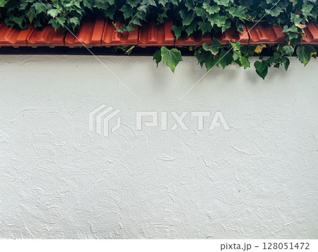 white wall with leaves and tiles place for inscription white wall with leaves and tiles place for inscription 128051472