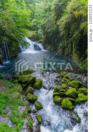 （熊本県）菊池渓谷　天狗滝・竜ヶ渕 128051531