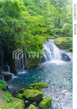 （熊本県）菊池渓谷　天狗滝・竜ヶ渕 128051532