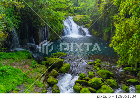 （熊本県）菊池渓谷　天狗滝・竜ヶ渕 128051534