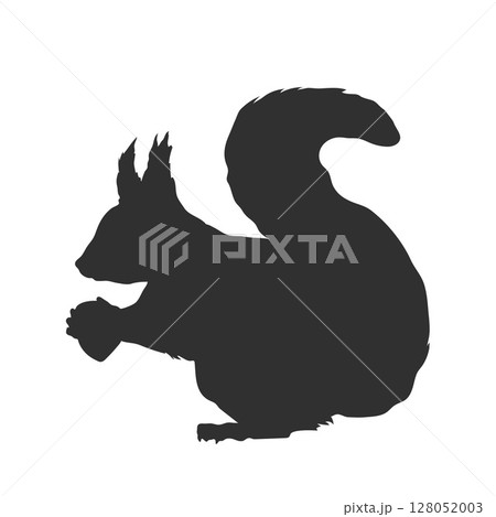 Squirrel silhouette. Black isolated drawing. North american forest animal. Zoo logo element Squirrel silhouette. Black isolated drawing. North american forest animal. Zoo logo element 128052003
