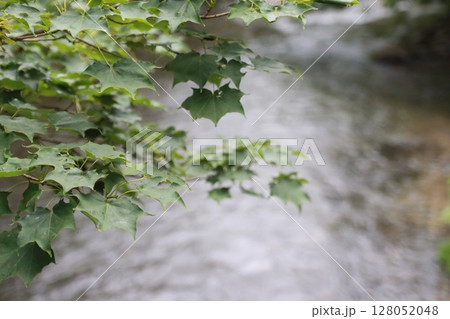 奥入瀬渓流 奥入瀬渓流 128052048