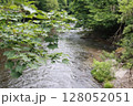 奥入瀬渓流 128052051