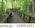 奥入瀬　遊歩道 128052053