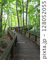奥入瀬　遊歩道 128052055
