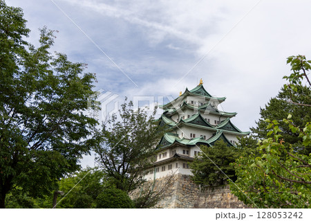 新緑に映える歴史の名城・名古屋城 128053242