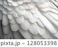 Closeup of white bird feathers symbolizing peace and spirituality 128053398