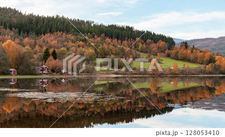 A serene scene of an autumn Norwegian forest and calm lake 128053410