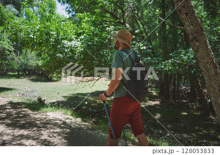 Adventurer Exploring Forest Trails Under Sunny Skies With Backpack in Summer 128053833