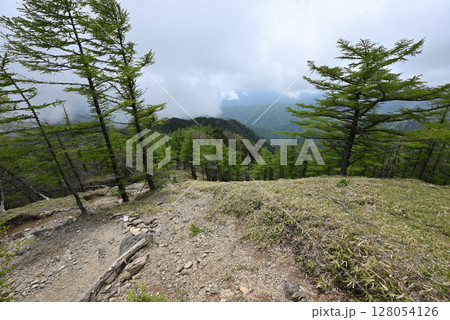 雲取山登山、東京 128054126