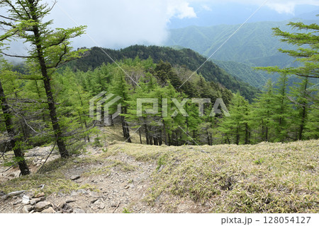 雲取山登山、東京 128054127