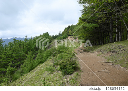 雲取山登山、東京 雲取山登山、東京 128054132