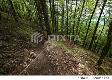 雲取山登山、東京 雲取山登山、東京 128054133