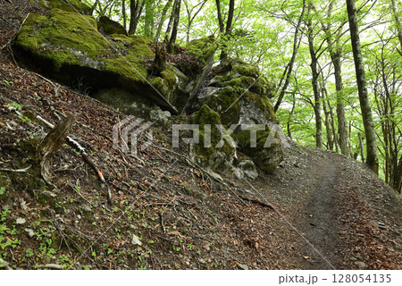 雲取山登山、東京 128054135