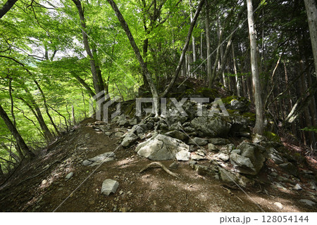 雲取山登山、東京 雲取山登山、東京 128054144