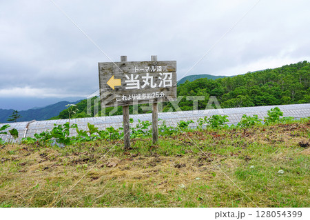 当丸沼（トーマル沼）これより徒歩約25分 128054399