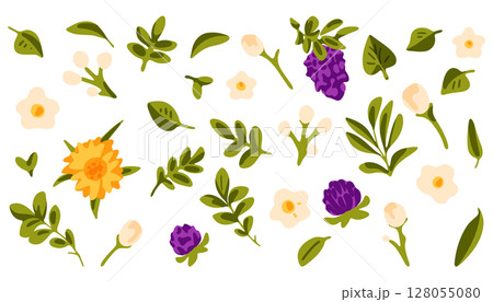 Botanical Garden Elements Set Botanical Garden Elements Set 128055080