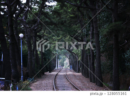 Forgotten rails disappearing into a deep green tunnel of towering trees Forgotten rails disappearing into a deep green tunnel of towering trees 128055161