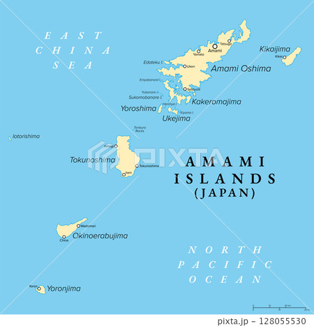 Amami Islands, island group of Japan, political map. Japanese archipelago in the Satsunan Islands, which is part of the Ryukyu Islands, and belonging to the Kagoshima Prefecture. Illustration. Vector 128055530