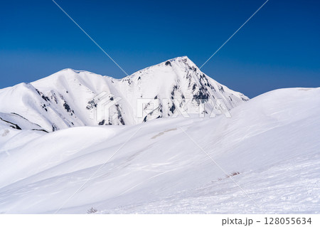 雷鳥沢の残雪期ルートから見る奥大日岳　残雪期の北アルプス立山・別山登山 128055634