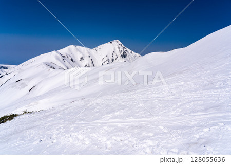 雷鳥沢の残雪期ルートから見る奥大日岳　残雪期の北アルプス立山・別山登山 128055636