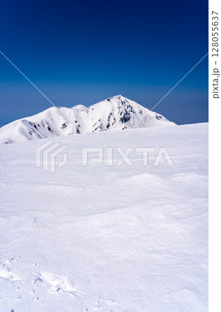 雷鳥沢の残雪期ルートから見る奥大日岳　残雪期の北アルプス立山・別山登山 128055637