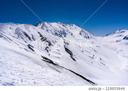 雷鳥沢の残雪期ルートから見る立山連峰　残雪期の北アルプス立山・別山登山 128055644