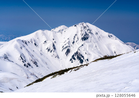 雷鳥沢の残雪期ルートから見る奥大日岳　残雪期の北アルプス立山・別山登山 128055646