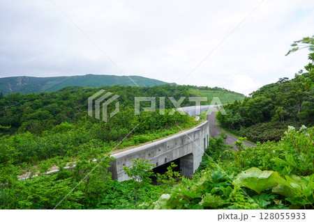 当丸展望台のあたりからみるトーマル峠覆道 128055933