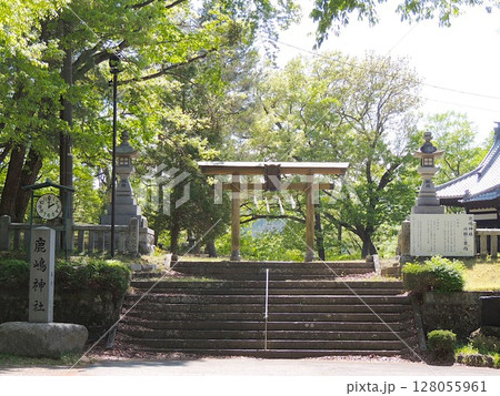 小諸城址　 鹿嶋神社 128055961