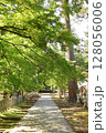 新緑に包まれる谷汲山華厳寺 128056006