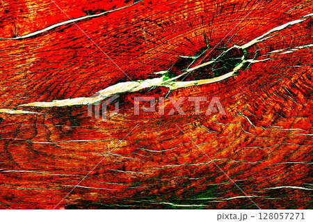 Wooden texture. Old wood. Longitudinal section. Close-up. Changed color scheme. Bright colors. 128057271