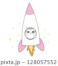 Cute Cat Riding Rocket Cartoon Vector Icon Illustration. Animal Science Icon Concept Isolated Premium Vector. 128057552