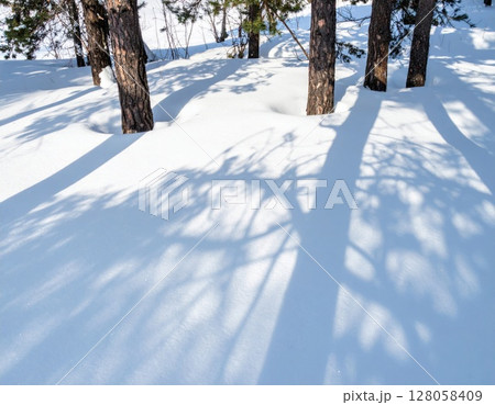 Shadows of Pine Trees on a Snowy Forest Floor 128058409