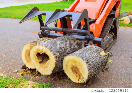Heavy skid steer machinery processes thick tree logs on residential driveway under after hurricane Heavy skid steer machinery processes thick tree logs on residential driveway under after hurricane 128059113