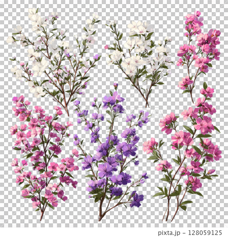 Vintage Botanical Flower with Colorful Blooms 128059125