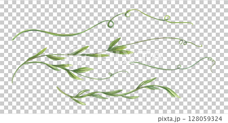 Curling vine shoots with tender tendrils watercolor illustration set isolated background. Hand painted green plant clip art for for wedding stationery, nursery decor, organic product packaging 128059324