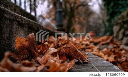 Autumn Leaves on Stone Path 128060209