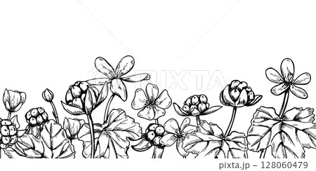Horizontal cloudberry branch border in monochrome vector illustration painted by black inks. Nordic marsh berry etching drawing for organic cosmetic packaging, apothecary label, beauty product design. 128060479