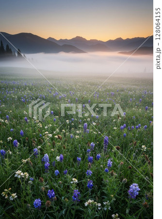 Misty Sunrise Over Wildflower Meadow and Mountains 128064155