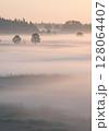 Misty Sunrise Landscape with Pale Pink Sky 128064407